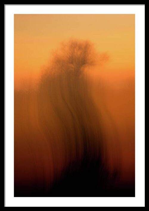 Abstract tree in orange - Framed Photography for sale, Framed Abstract, Abstract tree in orange – Framed Photography for sale