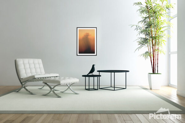 Abstract tree in orange - Photography Visualization in the interior