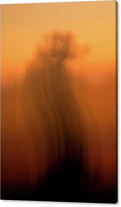 Abstract tree in orange - Canvas print for sale, Abstract Canvas Prints, Abstract tree in orange – Canvas print for sale