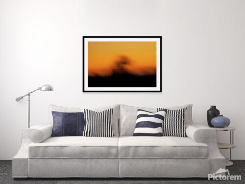 Abstract tree - Visualization of a photograph on an interior wall. - Abstract