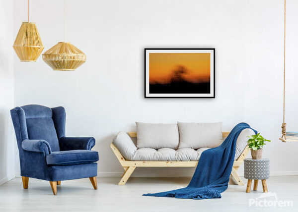 Abstract tree - Visualization of a photograph on an interior wall.