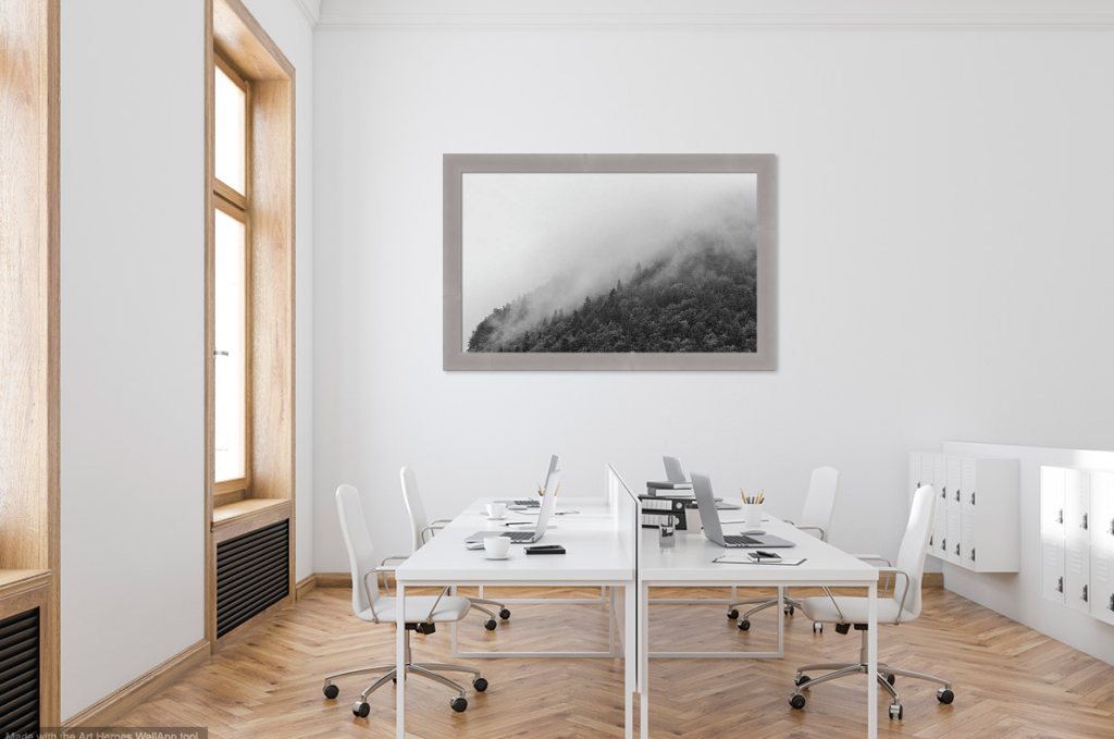 Visualization of landscape photography on office wall