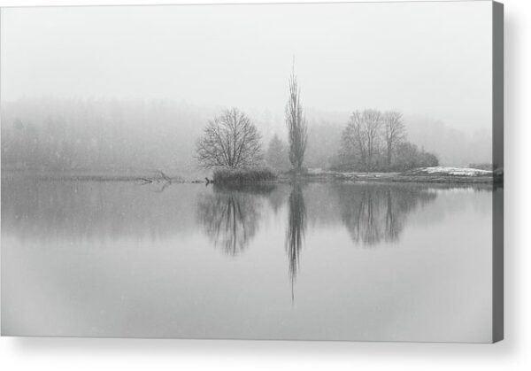 Tree Reflection On Winter Lake – Acrylic Print