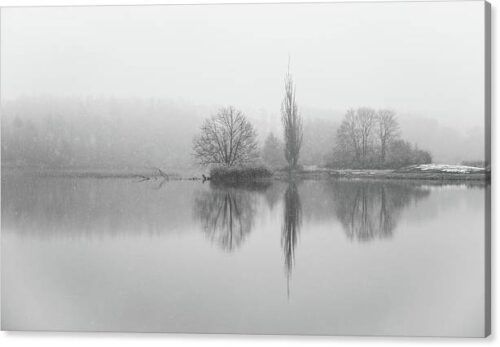 , Landscape Canvas Prints, 1-tree-reflection-on-winter-lake-canvas-print