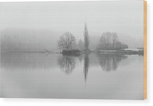, Landscape Wood Prints, 1-tree-reflection-on-winter-lake-wood-print
