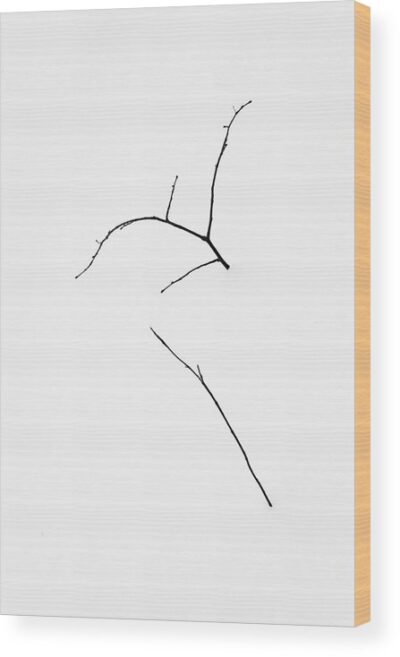 Zen style minimalist photograph - Wood print for sale, Nature Wood Prints, 1-winter-minimalism-wood-print