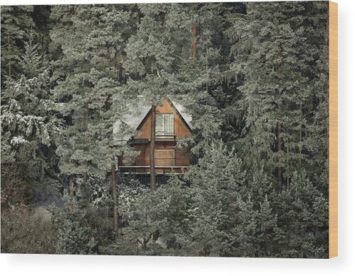 , Architectural Wood Prints, a-mysterious-cabin-hidden-in-the-woods-wood-print