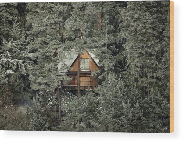 A Mysterious Cabin Hidden in the Woods – Wood Print