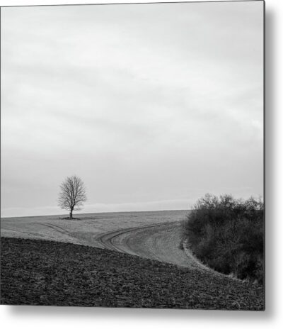 , Landscape Metal Prints, a-tree-stands-alone-in-the-landscape-metal-print