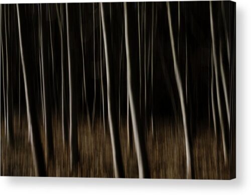 , Nature Acrylic Prints, abstract-forest-acrylic-print