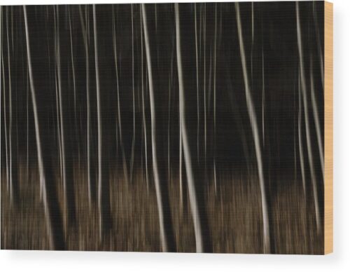 Abstract woods photograph - Wood print for sale, Wood Prints, abstract-forest-wood-print