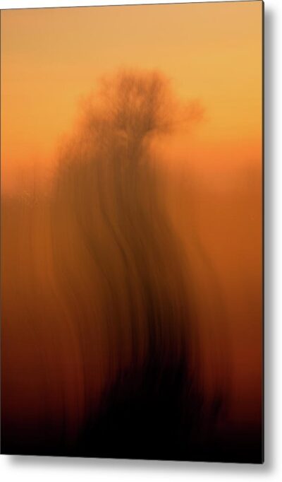 , Abstract Metal Prints, abstract-photo-of-a-tree-in-orange-metal-print