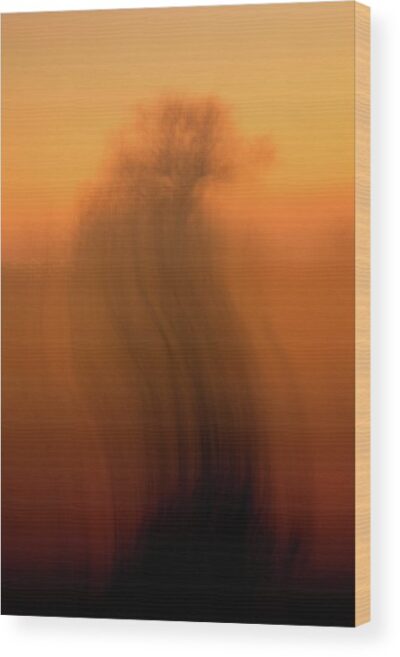 , Abstract Wood Prints, abstract-photo-of-a-tree-in-orange-wood-print