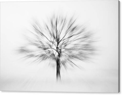 , Abstract Canvas Prints, abstract-tree-canvas-print