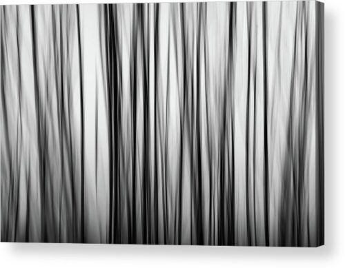 , Acrylic Prints, abstract-tree-with-motion-blur-acrylic-print