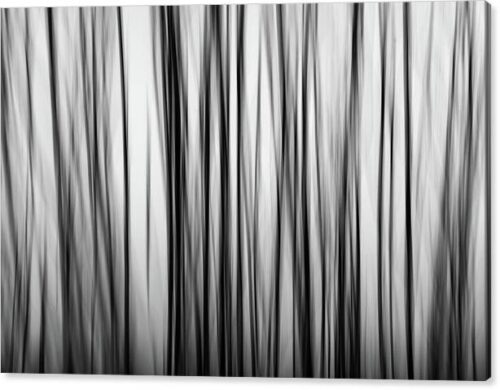 , Abstract Canvas Prints, abstract-tree-with-motion-blur-canvas-print