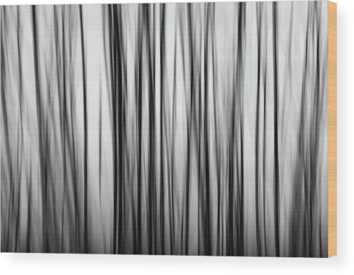 ICM trees abstract photograph - Wood print for sale, Wood Prints, abstract-tree-with-motion-blur-wood-print