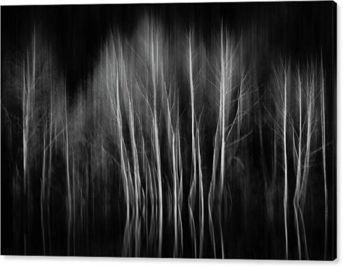 , Abstract Canvas Prints, abstract-trees-canvas-print