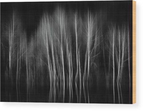 Abstract trees photograph - Wood print for sale, Nature Wood Prints, abstract-trees-wood-print