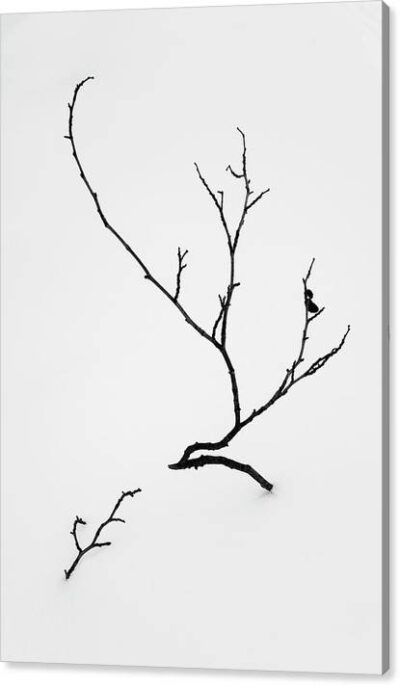, Minimalist Canvas Prints, beautiful-tree-growing-in-the-snow-canvas-print