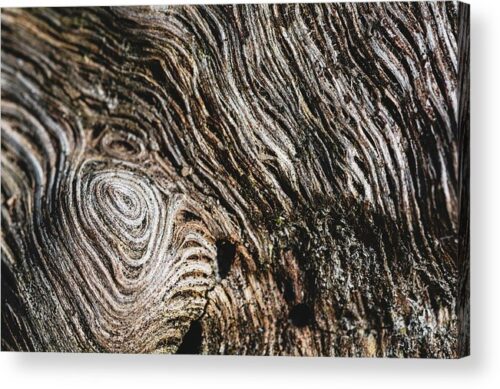 , Abstract Acrylic Prints, beautiful-wood-structure-acrylic-print