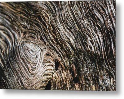 , Abstract Metal Prints, beautiful-wood-structure-metal-print