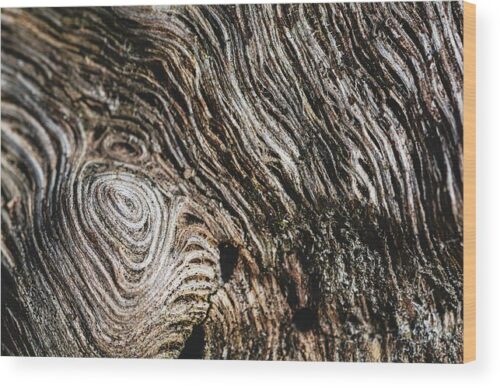 , Abstract Wood Prints, beautiful-wood-structure-wood-print