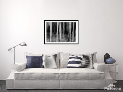 Creepy forest - Fine art photography visualisation in room - Abstract