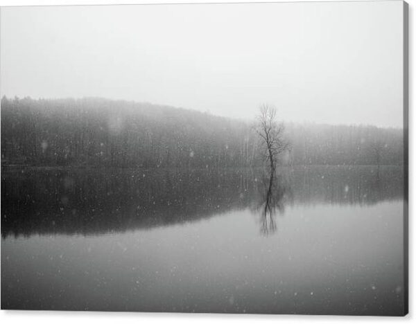Dark Winter Landscape – Canvas Photography Print