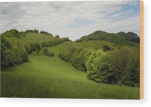 , Landscape Wood Prints, green-carpathian-hills-wood-print