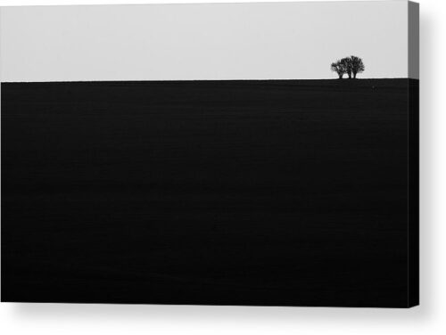 , Minimalist Acrylic Prints, lonely-trees-acrylic-print
