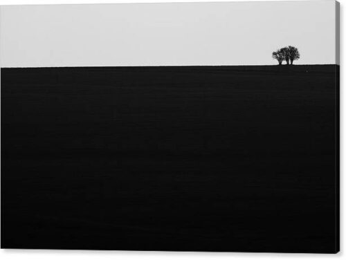 , Landscape Canvas Prints, lonely-trees-canvas-print