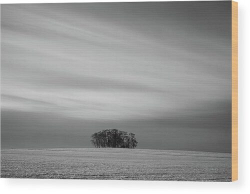 Long exposure trees on a hill photograph - Wood print for sale, Wood Prints, long-exposure-landscape-jankov-hill-i-wood-print