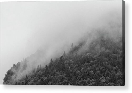 , Landscape Acrylic Prints, misty-forest-acrylic-print
