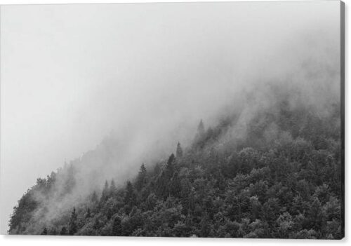 , Landscape Canvas Prints, misty-forest-canvas-print
