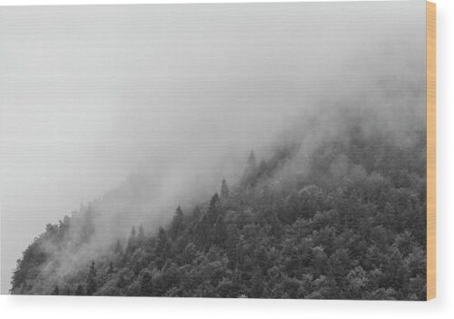 , Landscape Wood Prints, misty-forest-wood-print