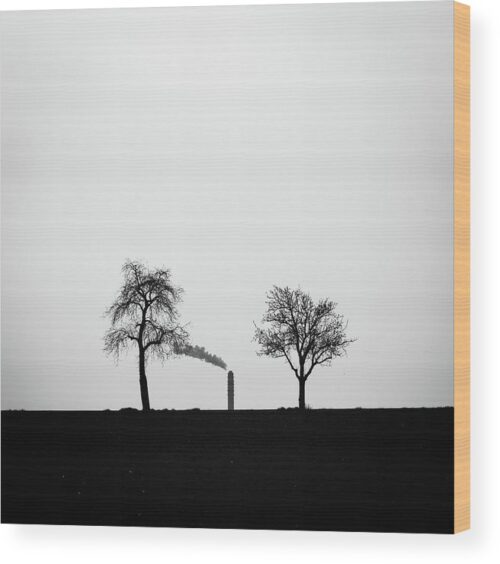 Environmental photograph - Wood print for sale, Nature Wood Prints, nature-and-humans-wood-print