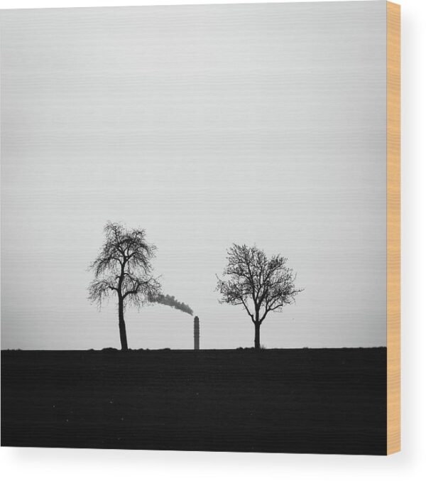 Environmental photograph - Wood print for sale