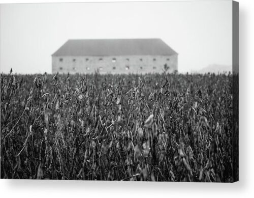 , Architectural Acrylic Prints, old-barn-in-the-field-acrylic-print
