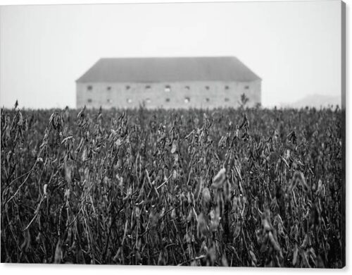 , Architectural Canvas Prints, old-barn-in-the-field-canvas-print