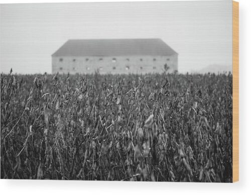 , Architectural Wood Prints, old-barn-in-the-field-wood-print