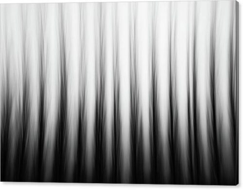 , Abstract Canvas Prints, poplars-in-motion-canvas-print