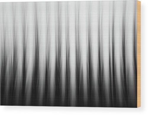 , Abstract Wood Prints, poplars-in-motion-wood-print