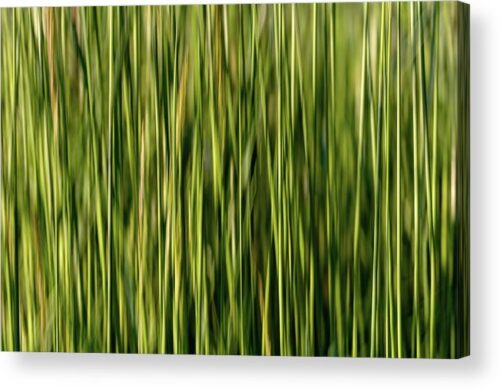 , Nature Acrylic Prints, psychedelic-nature-abstraction-acrylic-print
