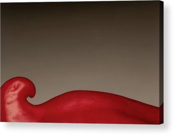 Red pepper – Acrylic Print