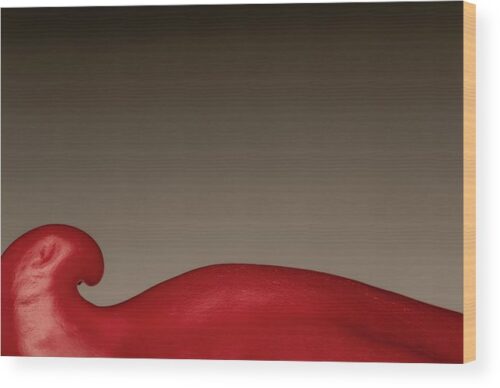 Red pepper minimalist photograph - Wood print for sale, Minimalist Wood Prints, red-pepper-wood-print