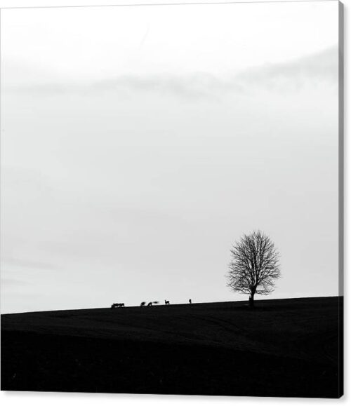 Silhouette of a Lonely Tree and Roe Deer - Canvas Photography Print, Minimalist Canvas Prints, Silhouette of a Lonely Tree and Roe Deer – Canvas Photography Print