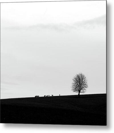, Animals & Wildlife Metal Prints, silhouette-of-a-lonely-tree-and-does-metal-print
