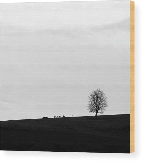 Silhouette of a Lonely Tree and Roe Deer – Wood Print