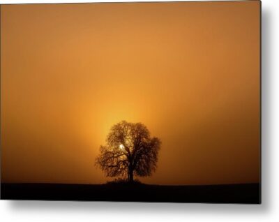 , Minimalist Metal Prints, silhouette-of-a-tree-and-the-rising-sun-metal-print